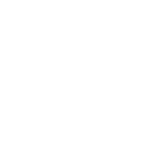 SECURITY