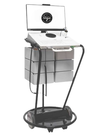 Mini Cart